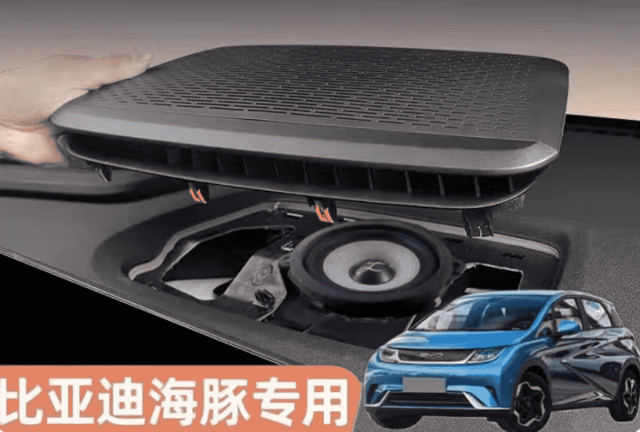 Loa trung tâm BYD Dolphin